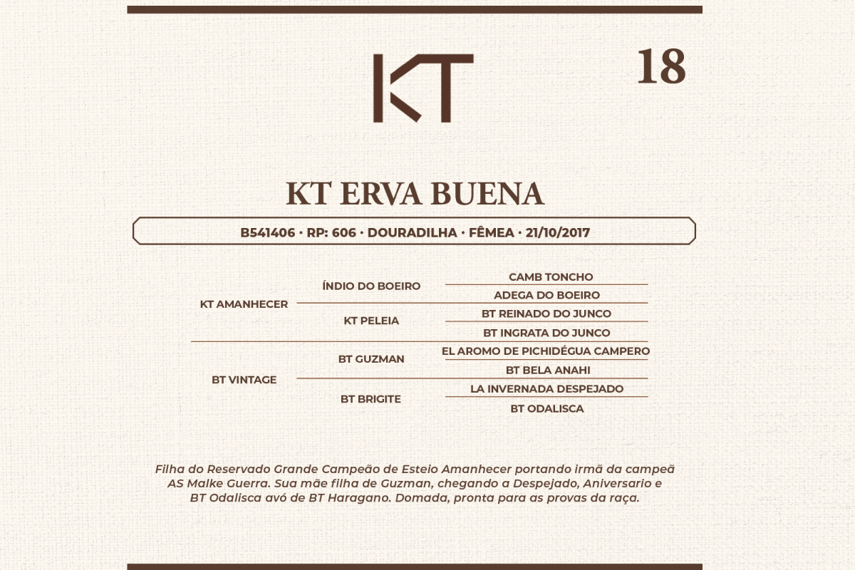 Geração KT ERVA BUENA