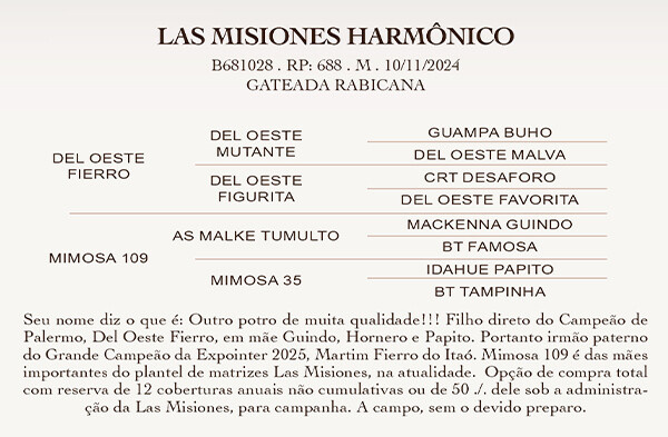 Geração LAS MISIONES HARMÔNICO