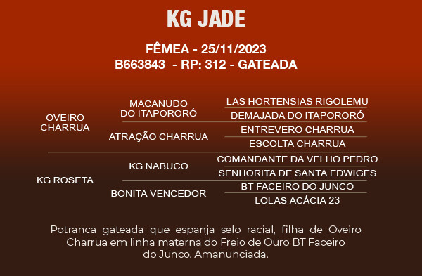 Geração KG JADE