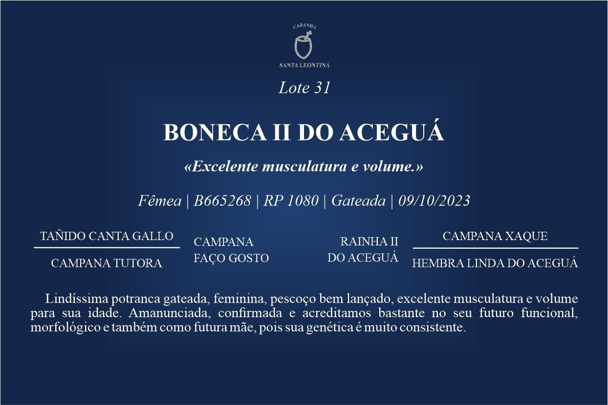 Geração BONECA II DO ACEGUÁ