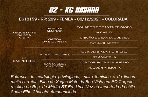Geração KG HAVANA