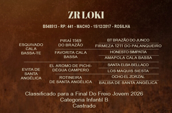 Geração ZR LOKI