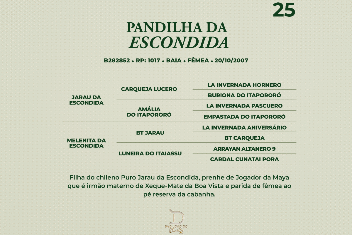 Geração PANDILHA DA ESCONDIDA