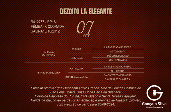 Geração DEZOITO LA ELEGANTE
