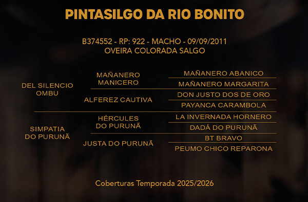 Geração PINTASILGO DA RIO BONITO