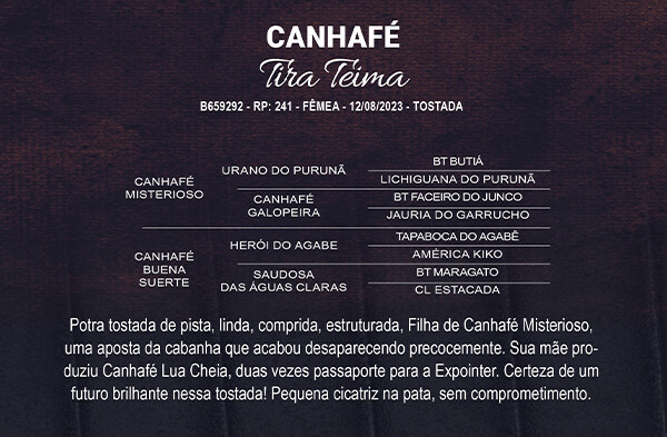 Geração CANHAFÉ TIRA TEIMA