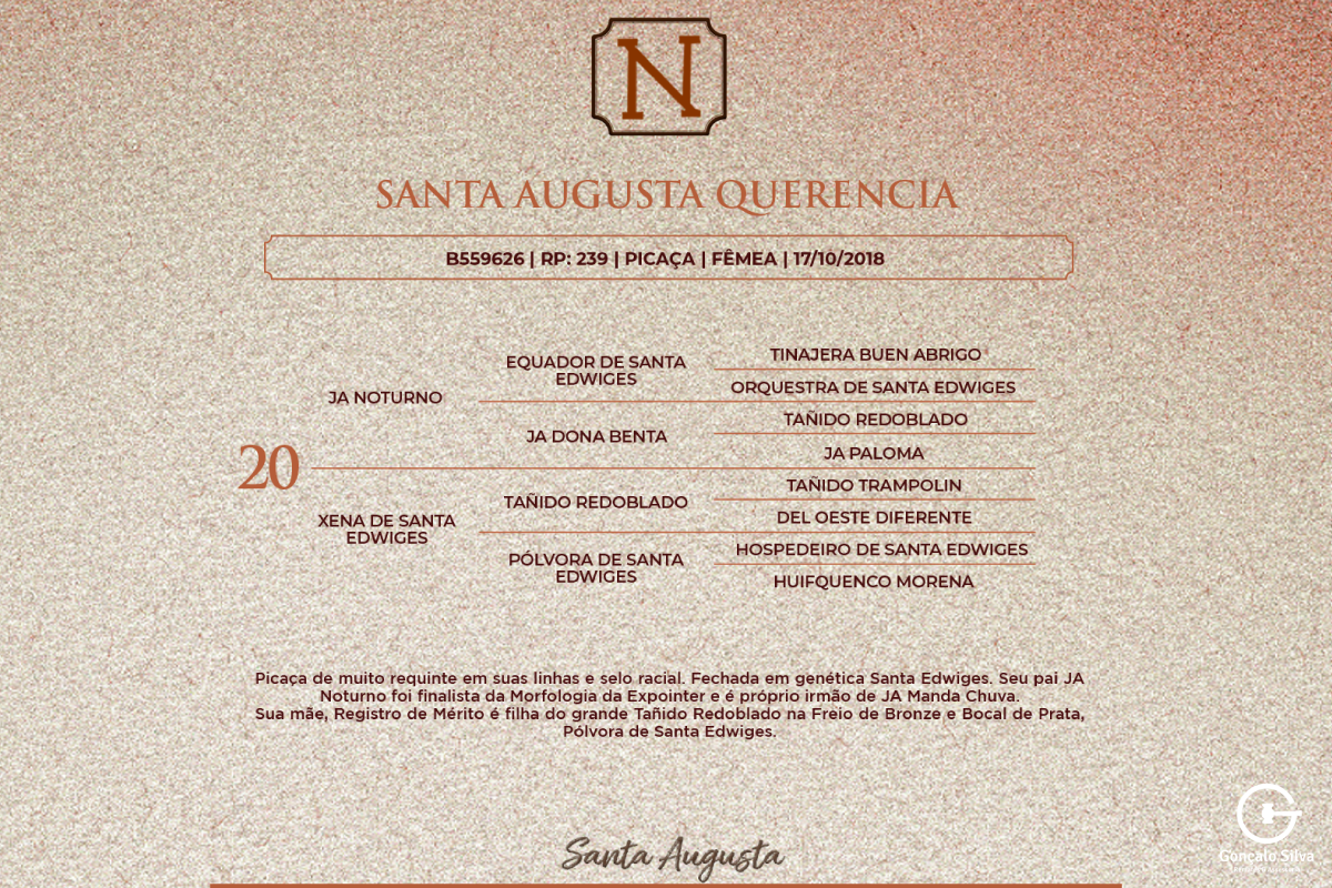 Geração SANTA AUGUSTA QUERÊNCIA