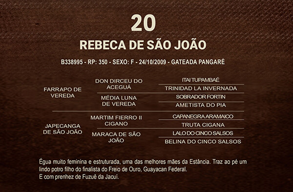 Geração REBECA DE SÃO JOÃO