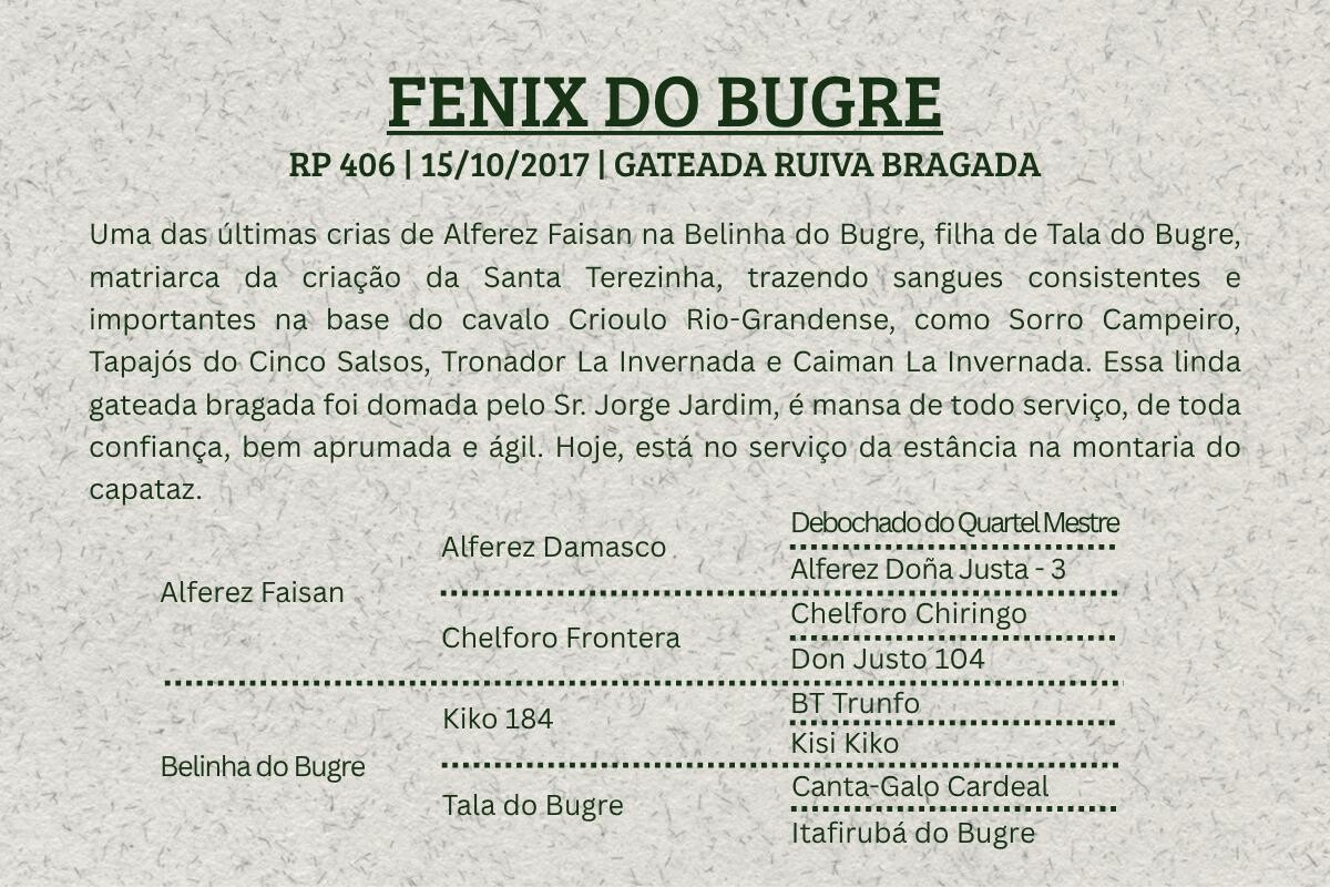 Geração FENIX DO BUGRE