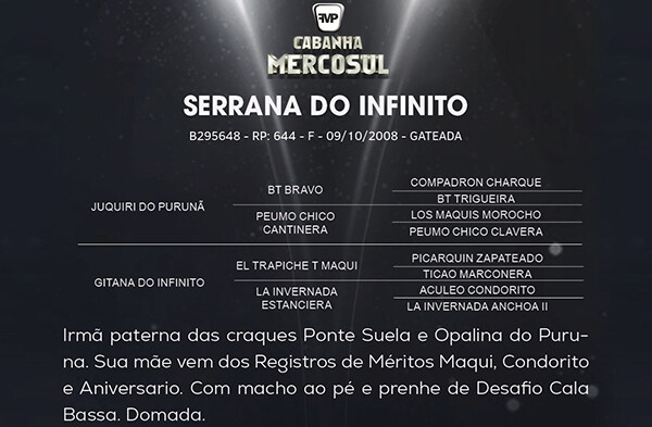 Geração SERRANA DO INFINITO 