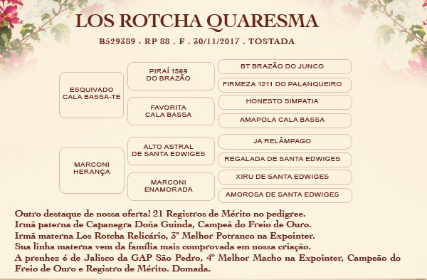 Geração LOS ROTCHA QUARESMA