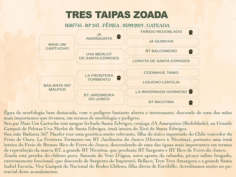 Geração TRÊS TAIPAS ZOADA