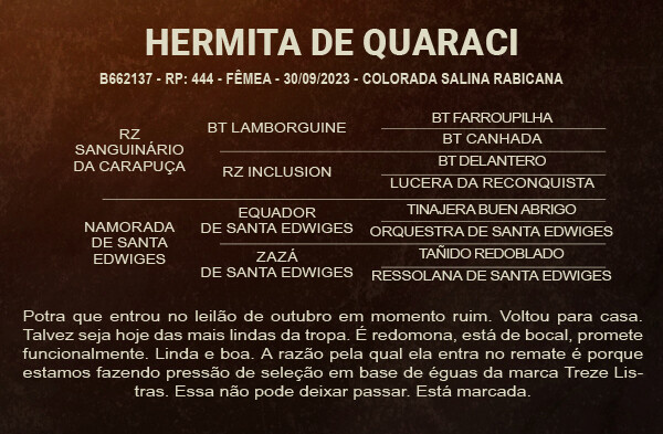Geração HERMITA DE QUARACI