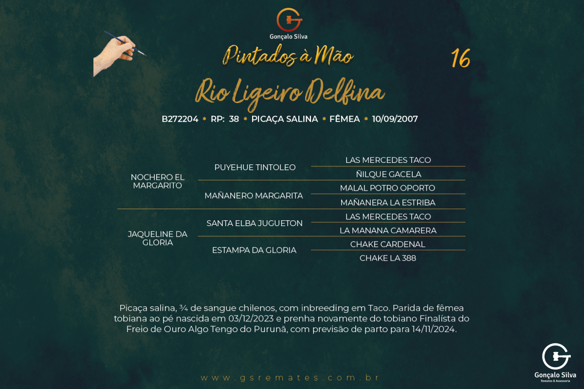 Geração RIO LIGEIRO DELFINA