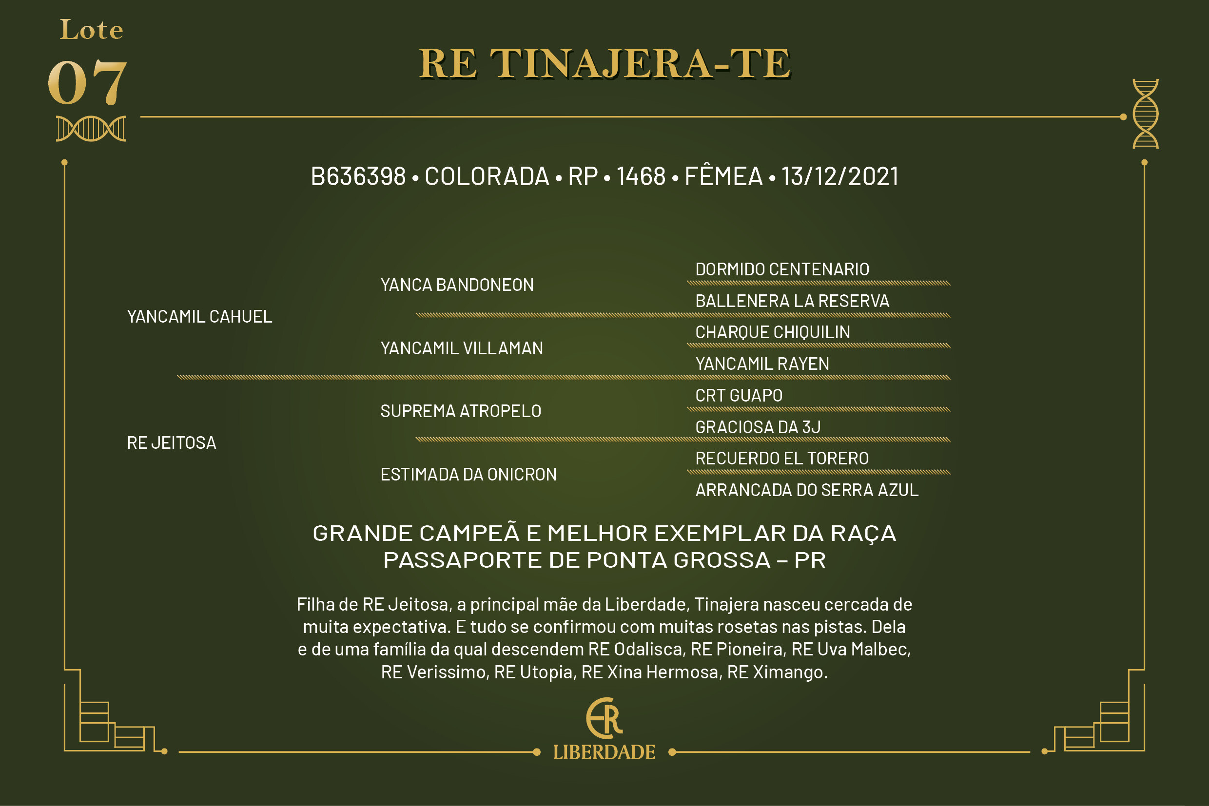 Geração RE TINAJERA - TE 