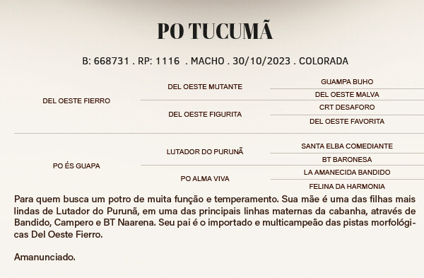 Geração PO TUCUMÃ 