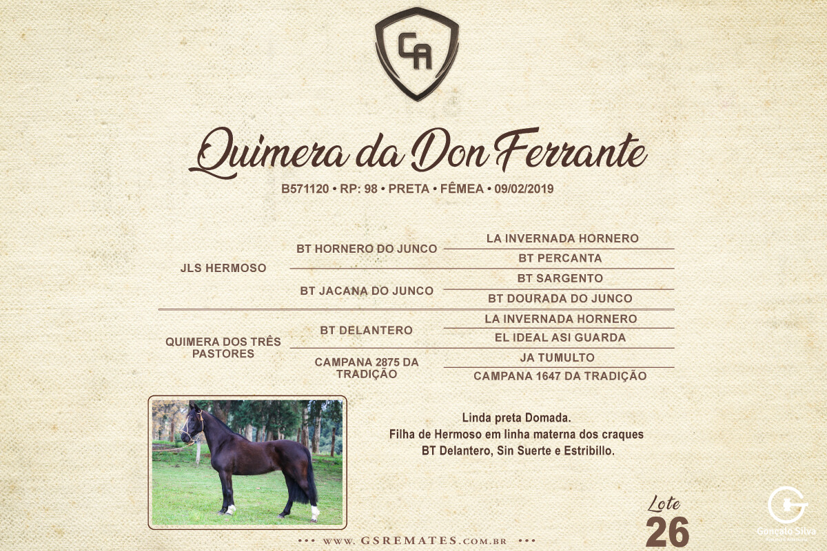 Geração QUIMERA DA DON FERRANTE