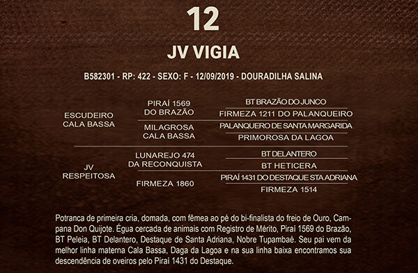 Geração JV VIGIA