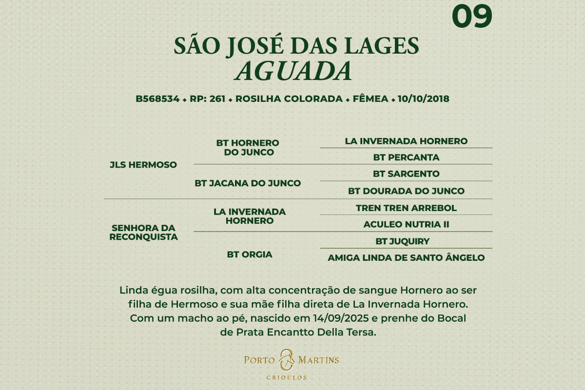 Geração SÃO JOSÉ DAS LAGES AGUADA