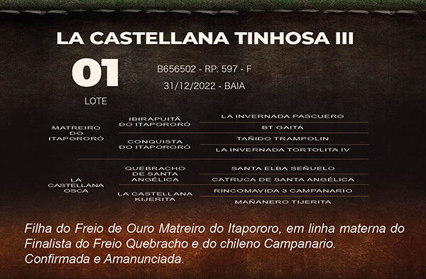 Geração LA CASTELLANA TINHOSA III