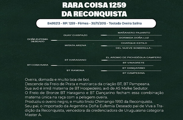 Geração RARA COISA 1259 DA RECONQUISTA