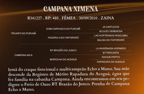 Geração CAMPANA XIMENA 