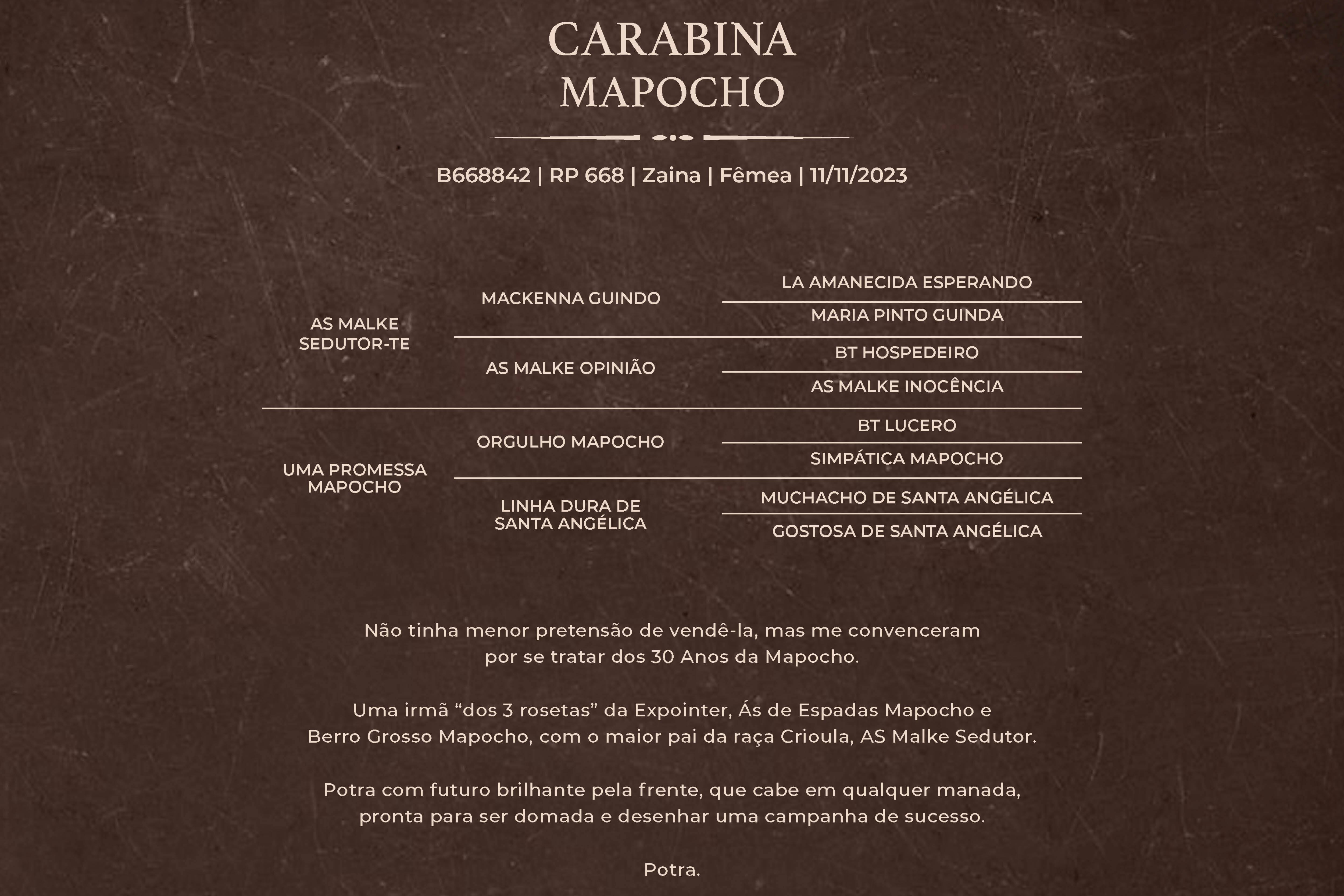 Geração CARABINA MAPOCHO