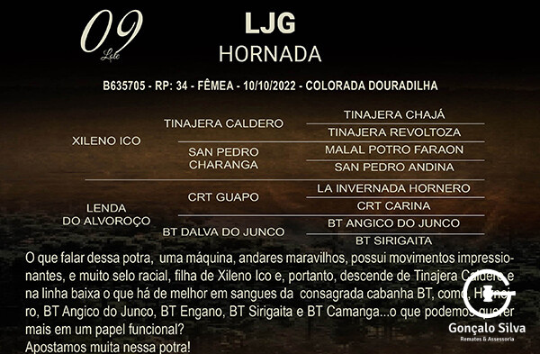 Geração LJG HORNADA