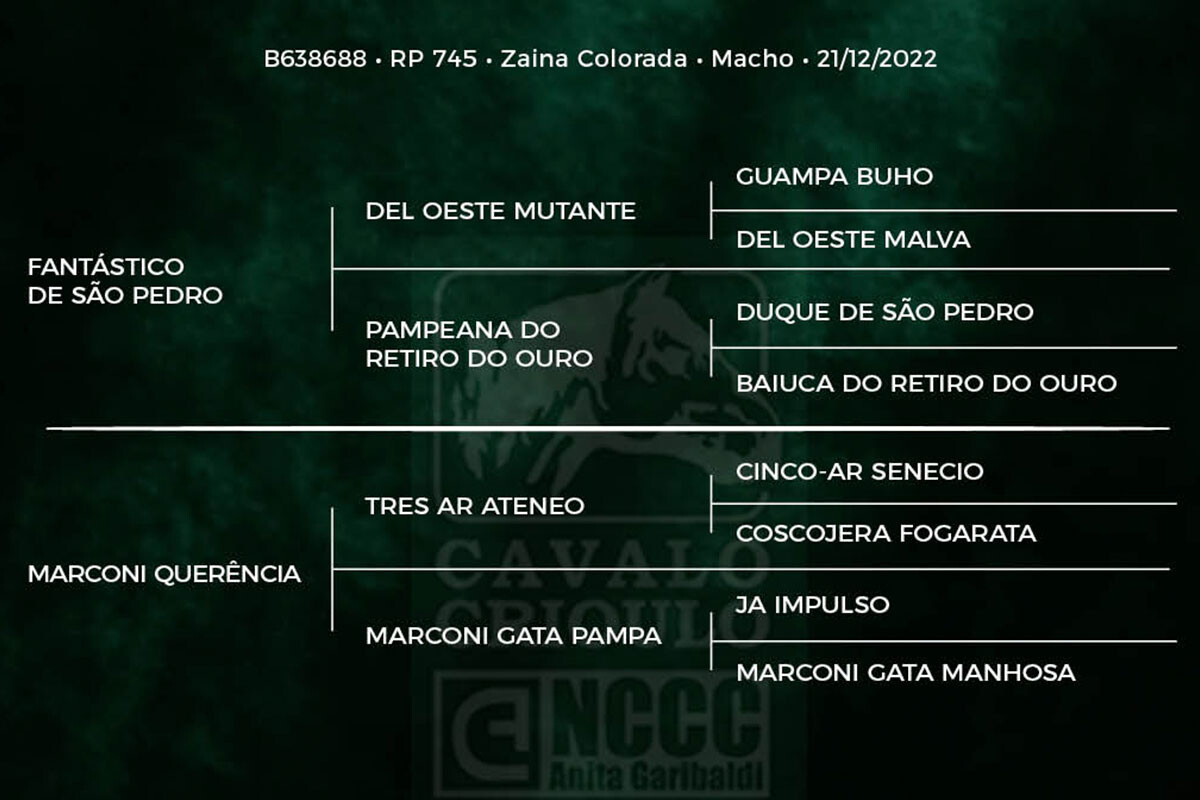Geração MARCONI FANTÁSTICO