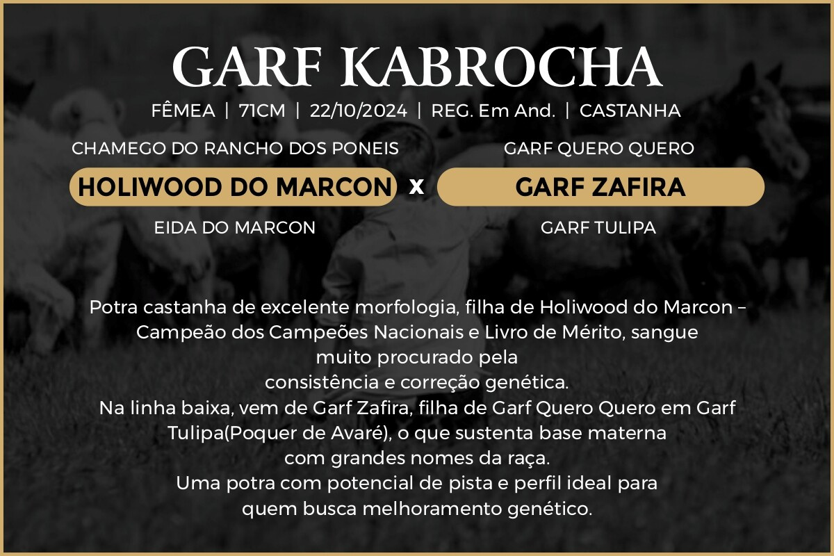 Geração GARF KABROCHA 