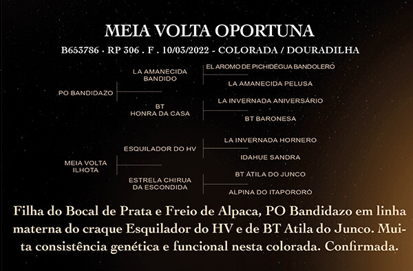 Geração MEIA VOLTA OPORTUNA