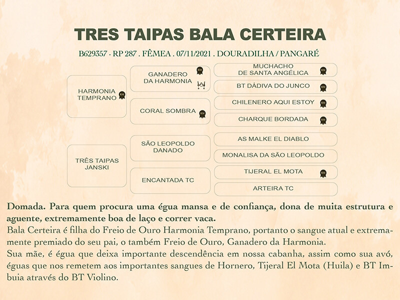Geração TRÊS TAIPAS BALA CERTEIRA