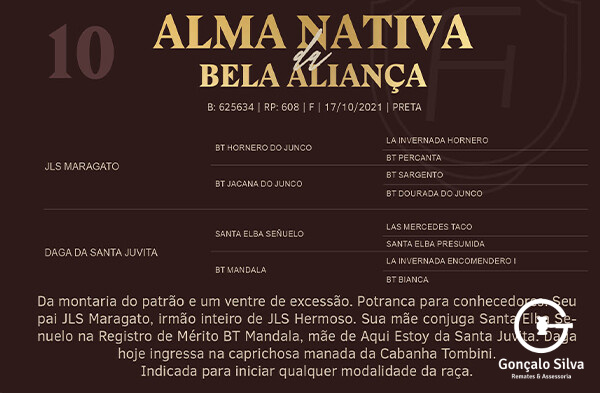 Geração ALMA NATIVA DA BELA ALIANÇA