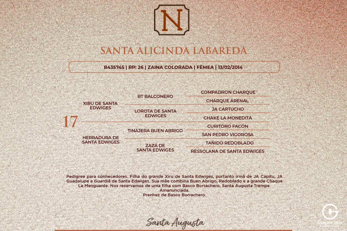 Geração SANTA AUGUSTA LABAREDA
