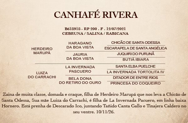 Geração CANHAFÉ RIVERA