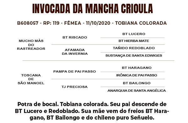 Geração INVOCADA DA MANCHA CRIOULA