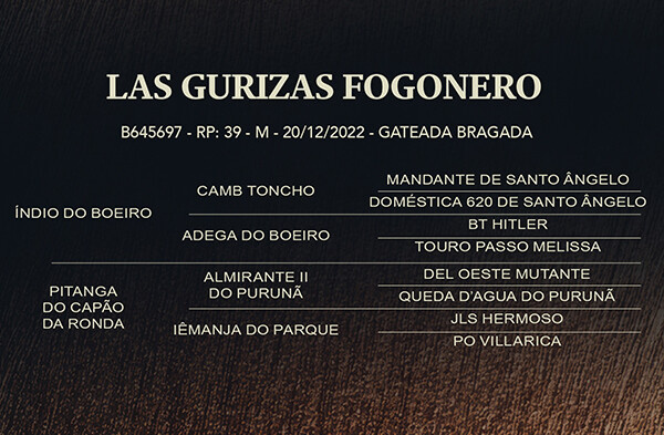 Geração LAS GURIZAS FOGONERO