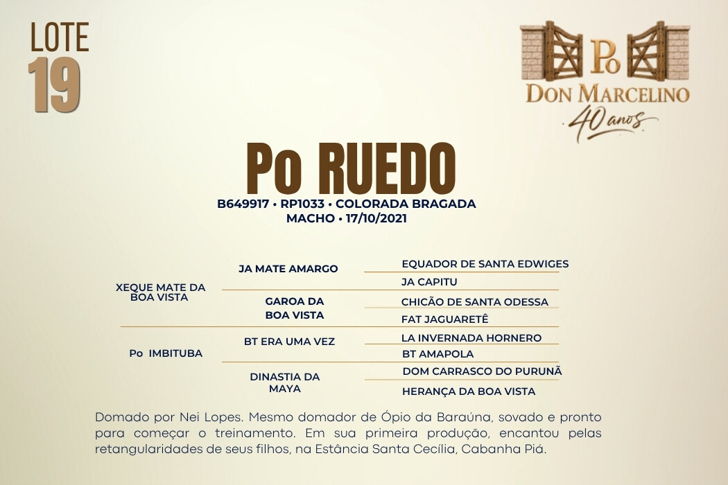 Geração PO RUEDO