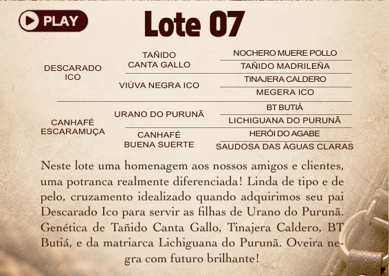 Geração CANHAFÉ UTOPIA