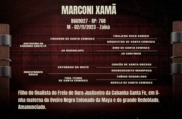 Geração MARCONI XAMÃ