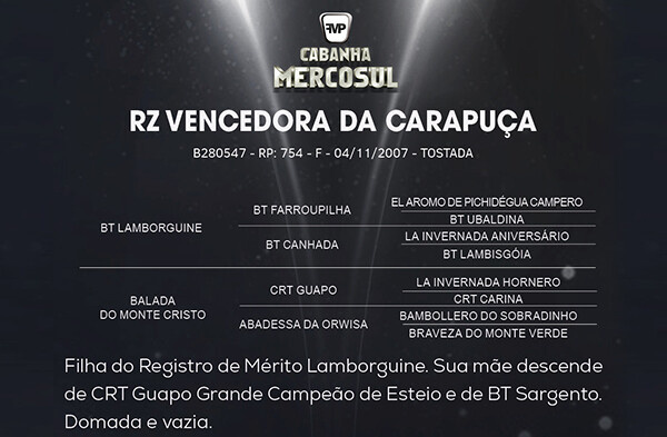 Geração RZ VENCEDORA DA CARAPUÇA 