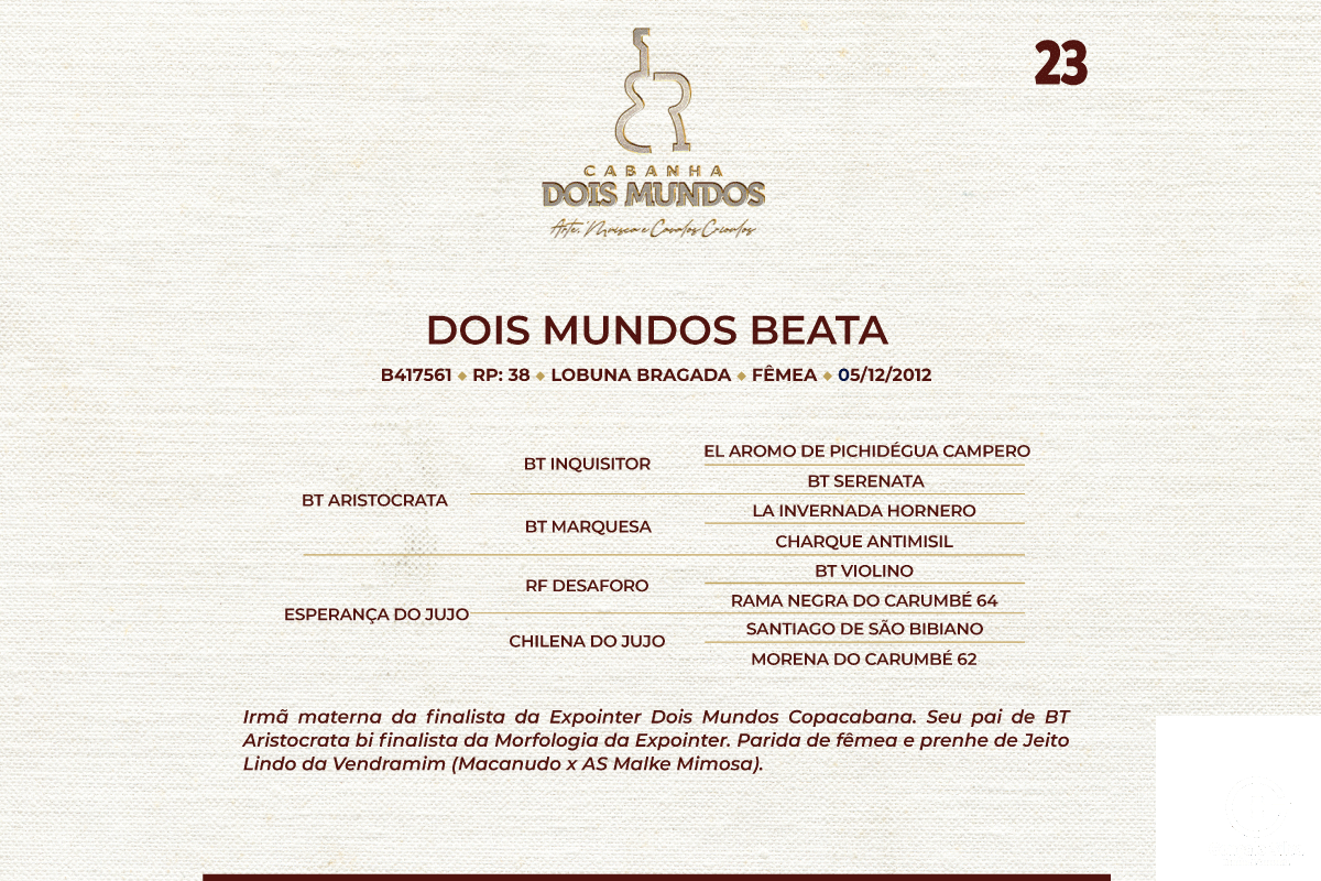 Geração  DOIS MUNDOS BEATA