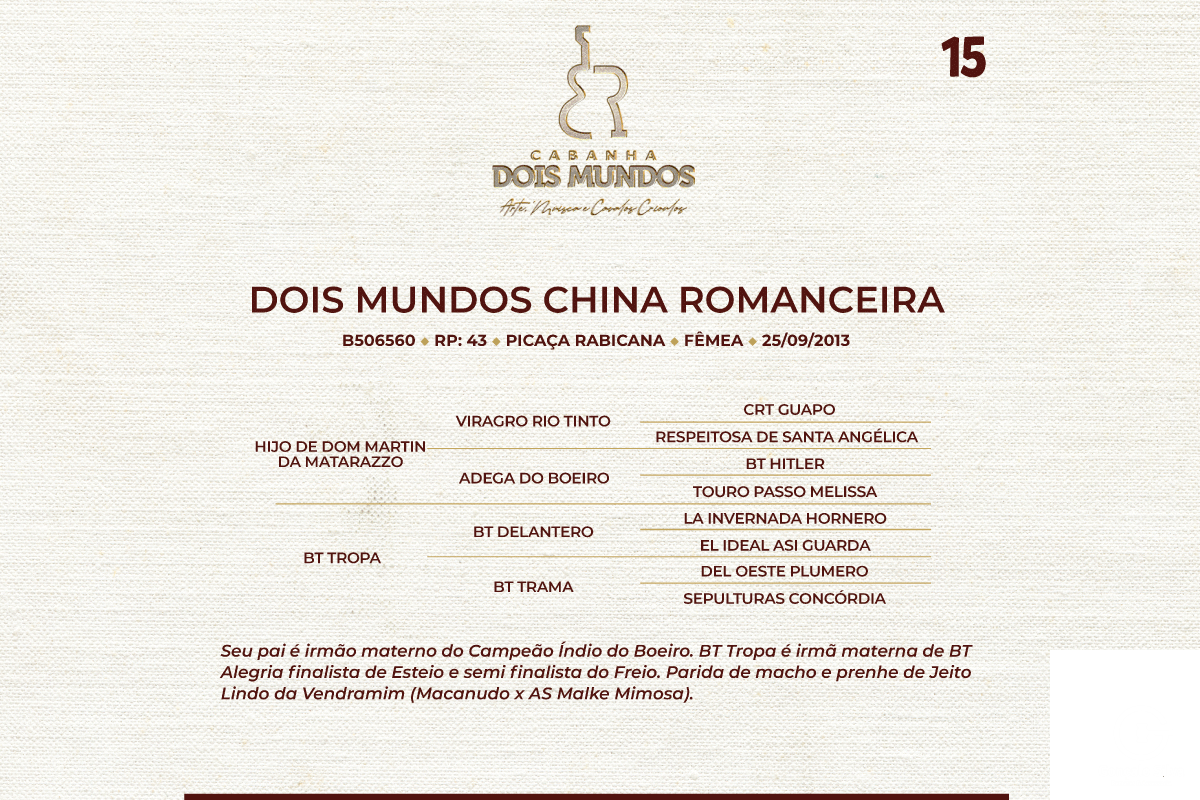 Geração DOIS MUNDOS CHINA ROMANCEIRA