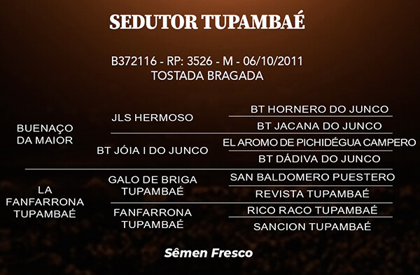 Geração SEDUTOR TUPAMBAÉ