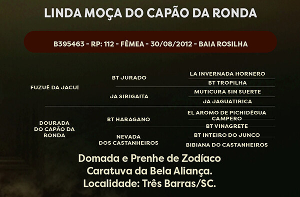 Geração  LINDA MOÇA DO CAPÃO DA RONDA 