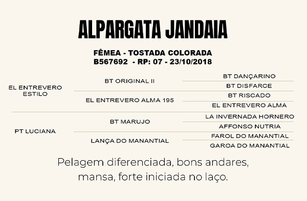 Geração ALPARGATA  JANDAIA 