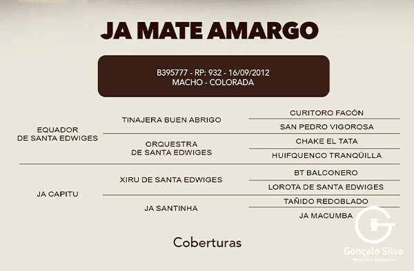 Geração COBERTURA JA MATE AMARGO