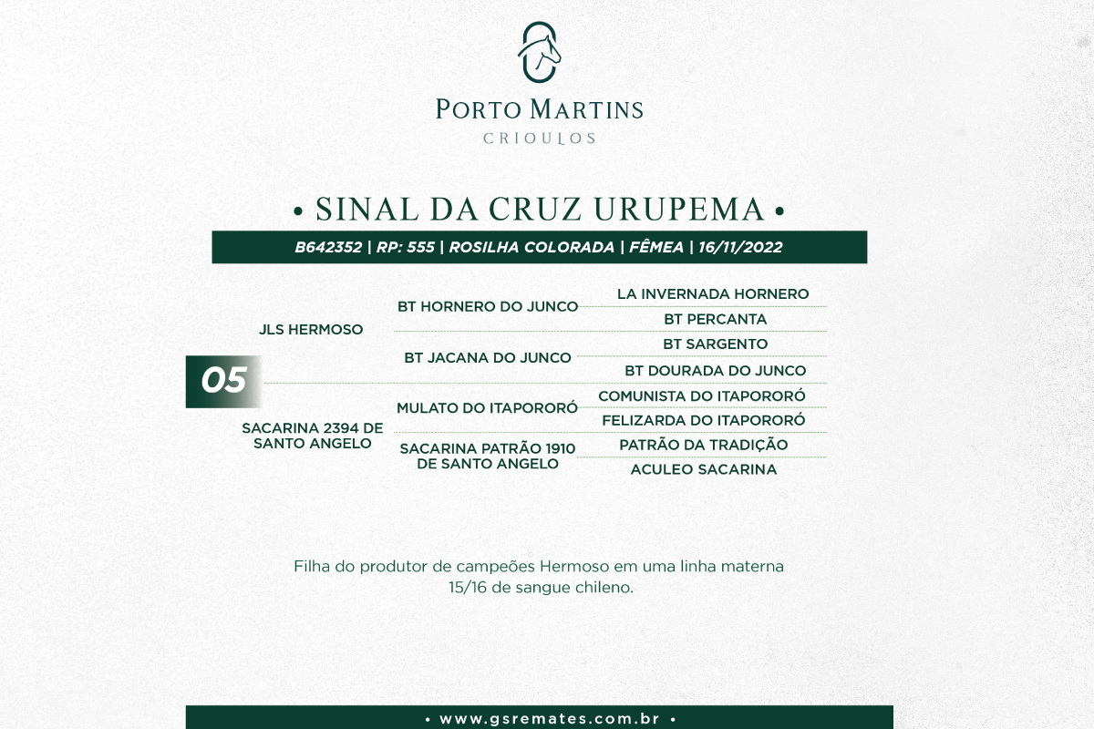 Geração SINAL DA CRUZ URUPEMA