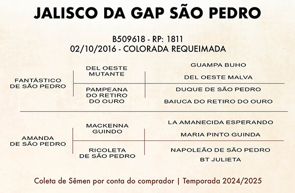 Geração JALISCO DA GAP SÃO PEDRO