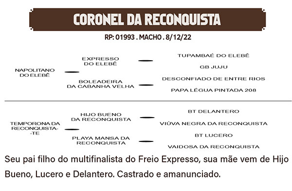 Geração CORONEL DA RECONQUISTA